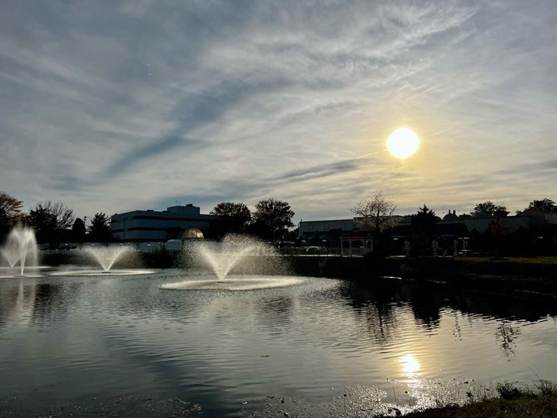 Lake View